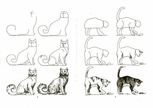 Зарисовки животных