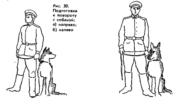 Солдат с собакой арт