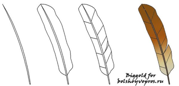 Зарисовка с натуры перо