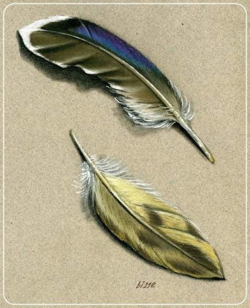 Перо карандашом