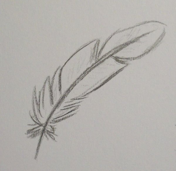 Перо контурный рисунок