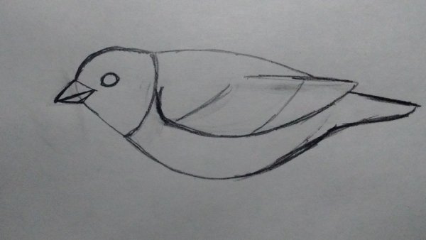 Перо раскраска