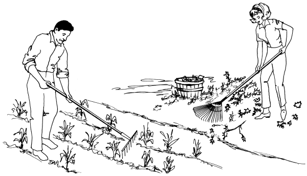 Работа в огороде рисунок