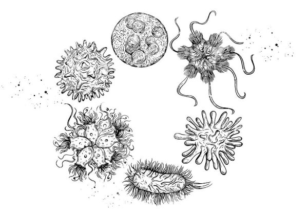 Нарисовать вирус карандашом