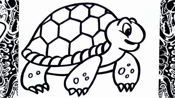 Черепашка рисунок легкий