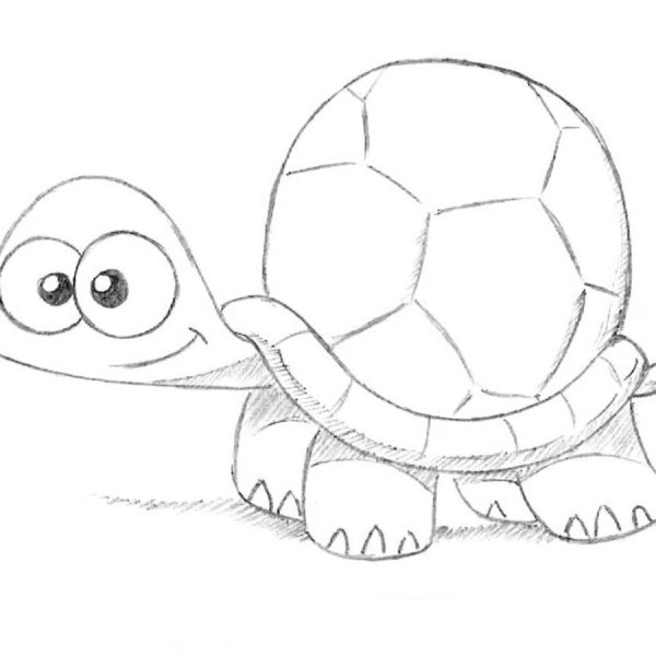 Поэтапное рисование черепахи
