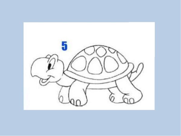 Черепаха черно белая