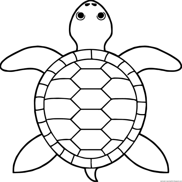 Схемы рисования в детском саду