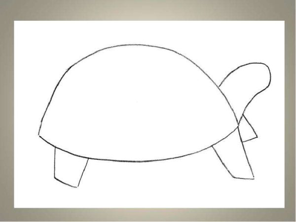 Раскраска черепаха