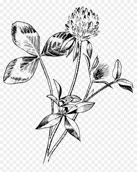 Трафареты цветов для вышивки гладью