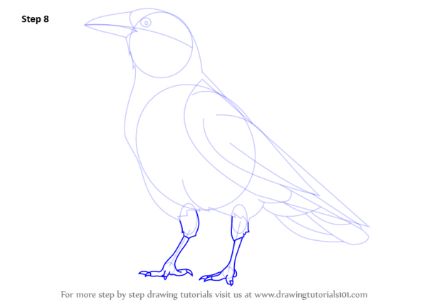 Рисование ворона