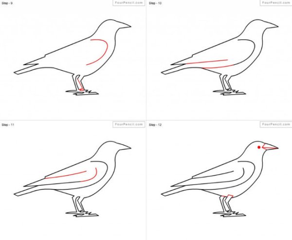 Рисунок вороны 3 класс