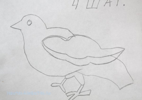 Черно белая ворона