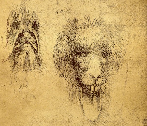 Анатомические работы Леонардо да Винчи