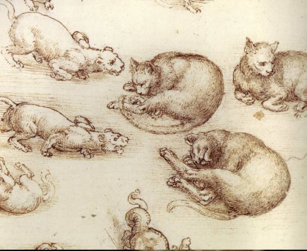 Леонардо да Винчи Графика