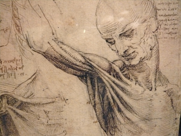 Леонардо да Винчи лицо