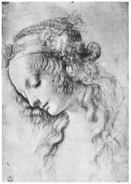 Рисунки Леонардо да Винчи