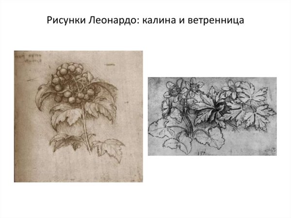 Леонардо да Винчи (1456-1519),