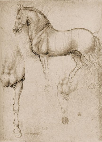 Леонардо Давинчи скетчи