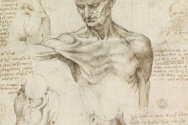 Чертежи Леонардо да Винчи