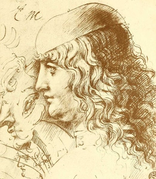 Леонардо да Винчи 1020 фрагментов