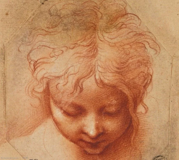 Леонардо да Винчи шарж