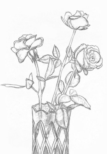 Букет роз карандашом в вазе