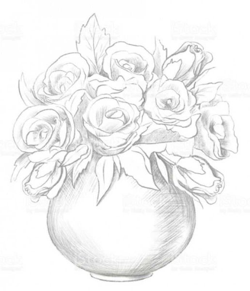 Букет пионов карандашом