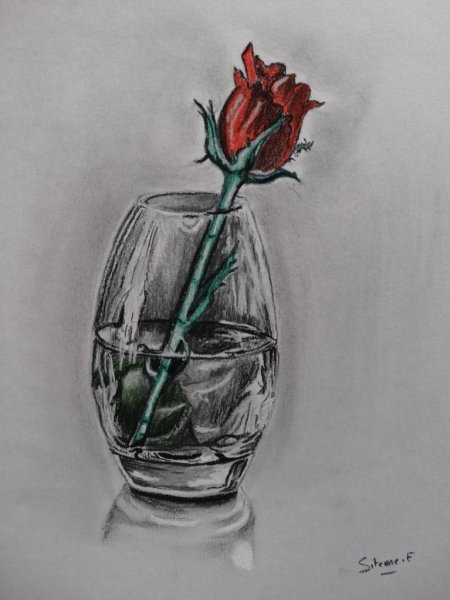 Натюрморт ваза с розой карандашом