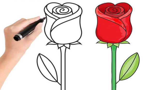 Роза рисунок легкий для детей