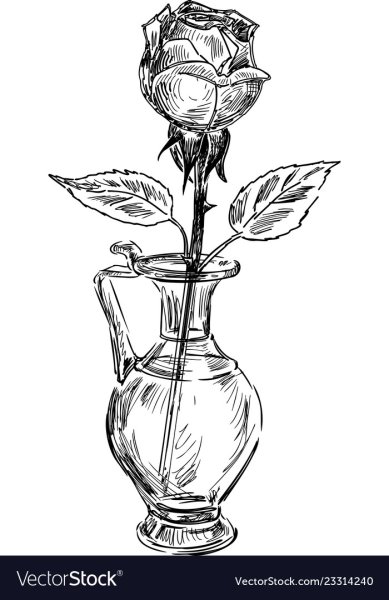 Натюрморт розы в вазе карандашом