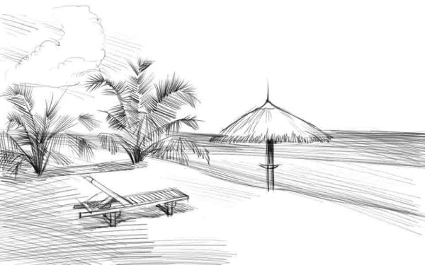 Летние рисунки карандашом