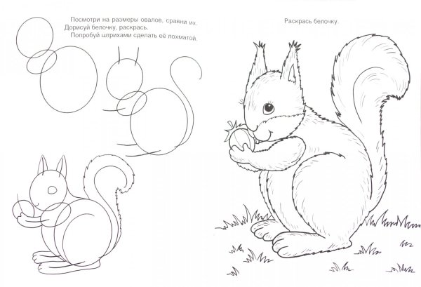 Белка о царе Салтане