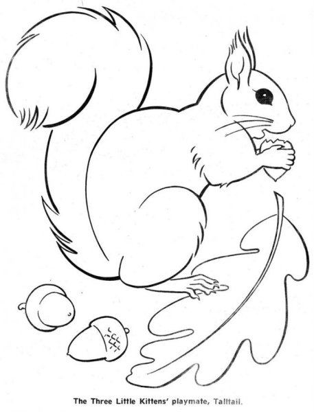 Белка из сказки о царе Салтане белка