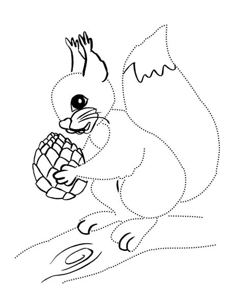 Сказка о царе Салтане раскраска белка