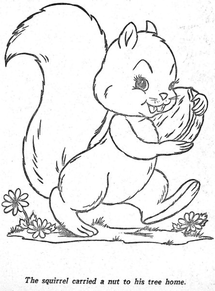 Раскраски сказки Пушкина о царе Салтане