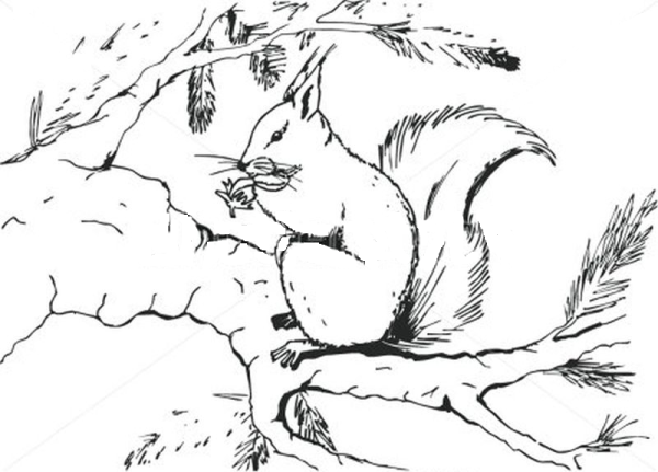 Сказка о царе Султан белка