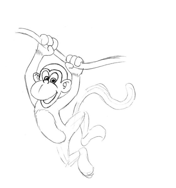 Пошаговое рисование мартышки