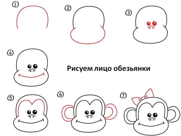 Как нарисовать обезьяну