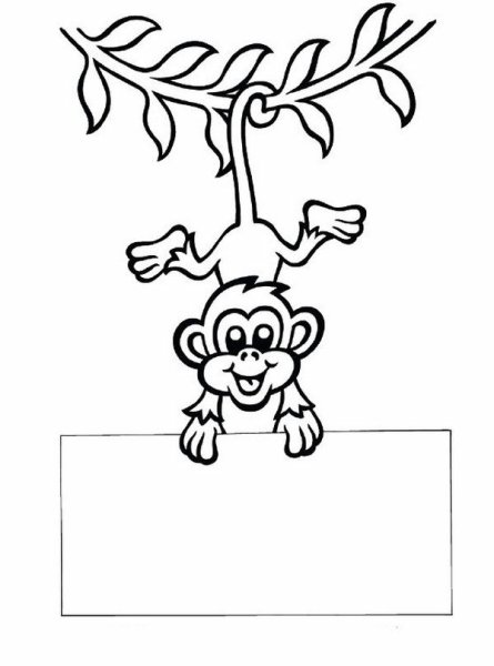 Раскраска обезьяна на дереве