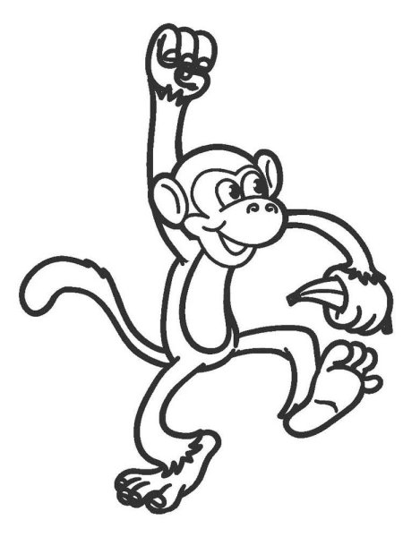 Обезьяна раскраска