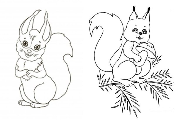 Тату белка эскиз