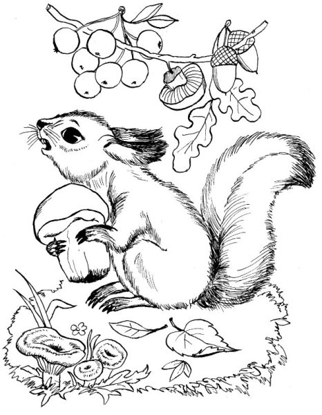 Раскраска булочка