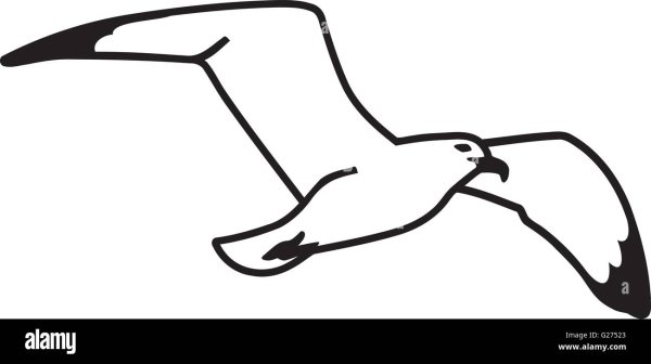 Чайки раскраска для детей