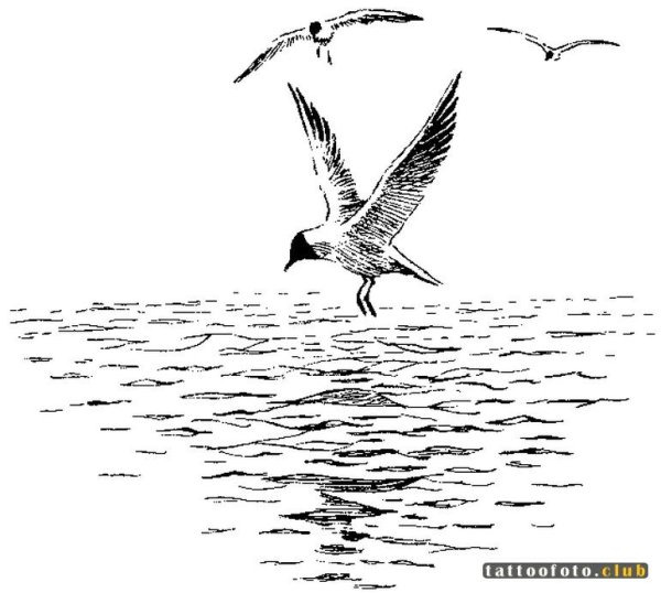 Шаблоны чаек для вырезания