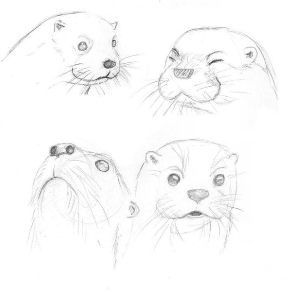 Выдра мультяшная