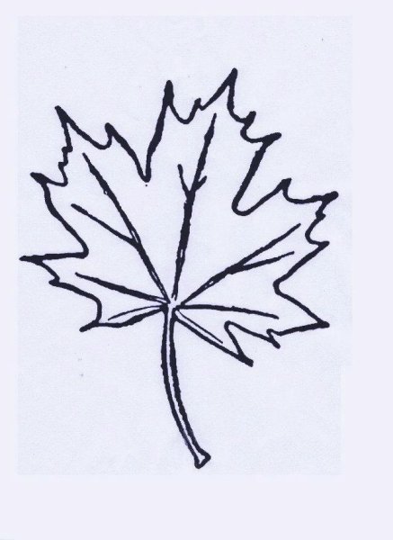Дубовый лист трафарет