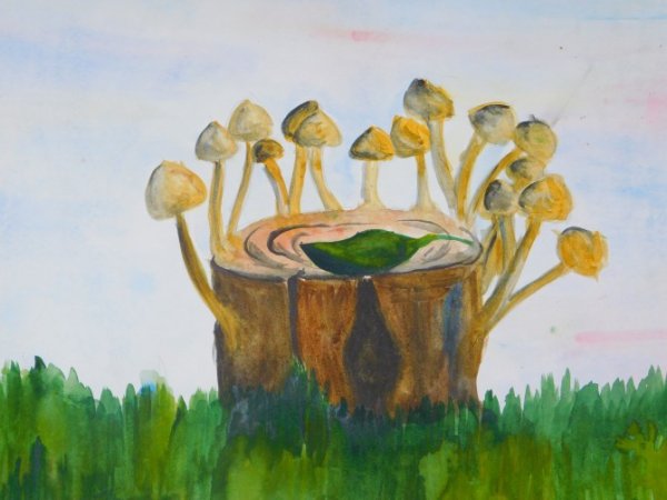 Рисование грибы на пеньке
