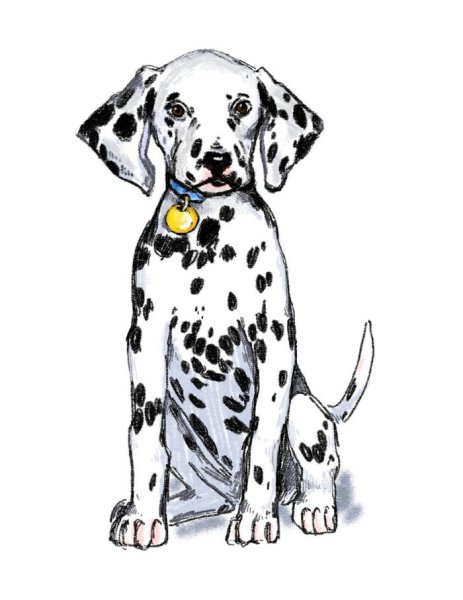 Далматинец для рисования