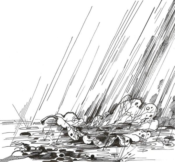 Дождь Графика